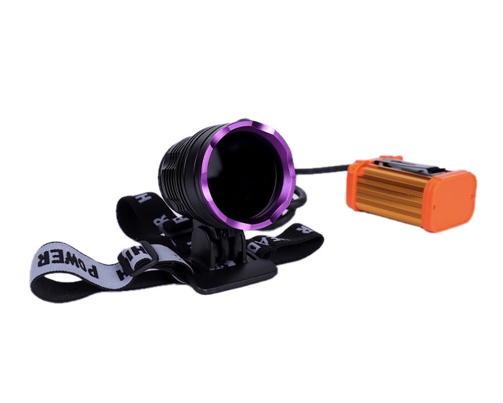 Blacklight UV LED Headlamp LUYOR-3101H
